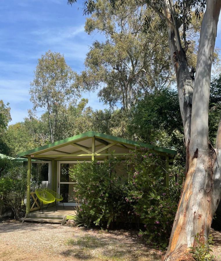 Camping La Cle Des Champs Calvi  Dış mekan fotoğraf