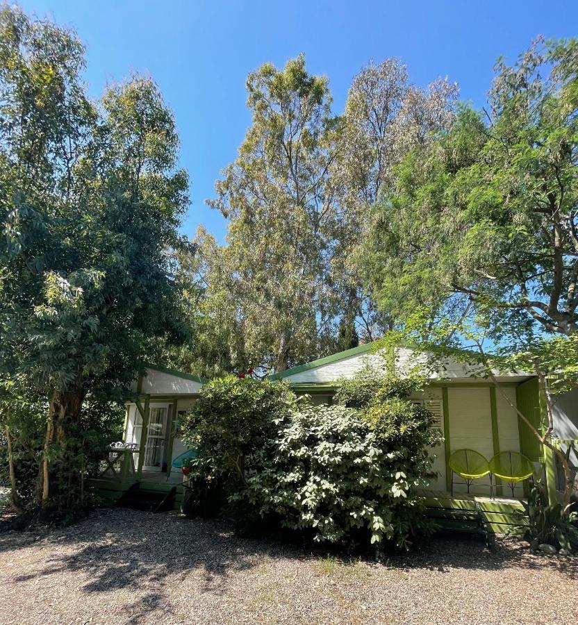 Camping La Cle Des Champs Calvi  Dış mekan fotoğraf