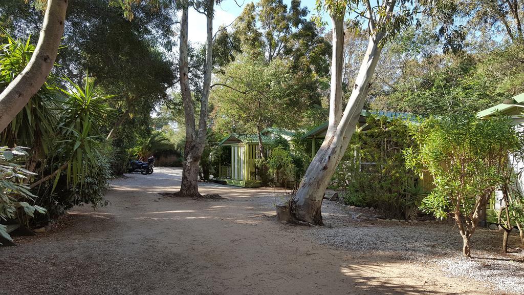 Camping La Cle Des Champs Calvi  Dış mekan fotoğraf