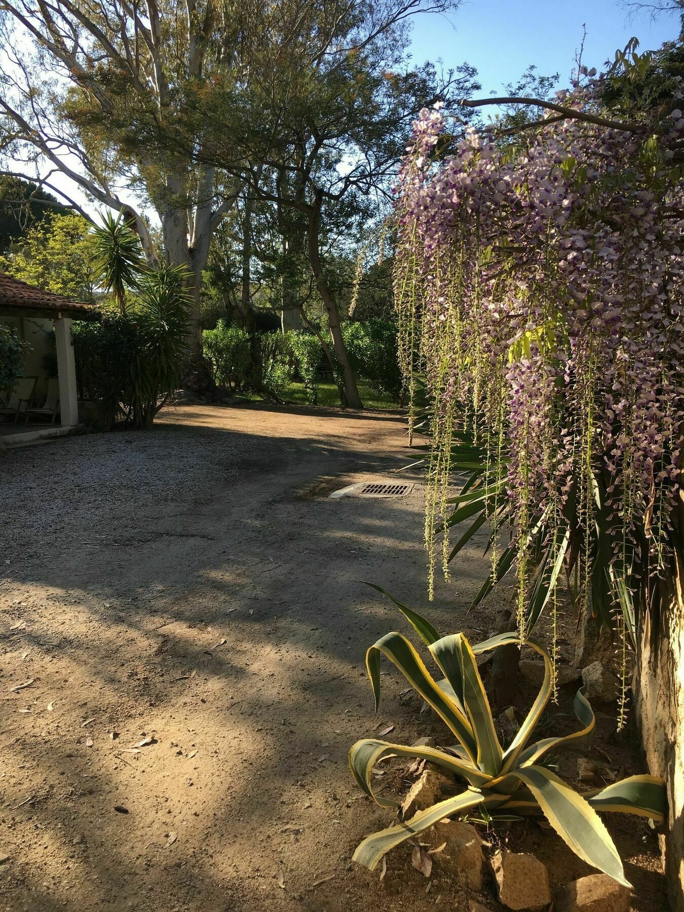 Camping La Cle Des Champs Calvi  Dış mekan fotoğraf